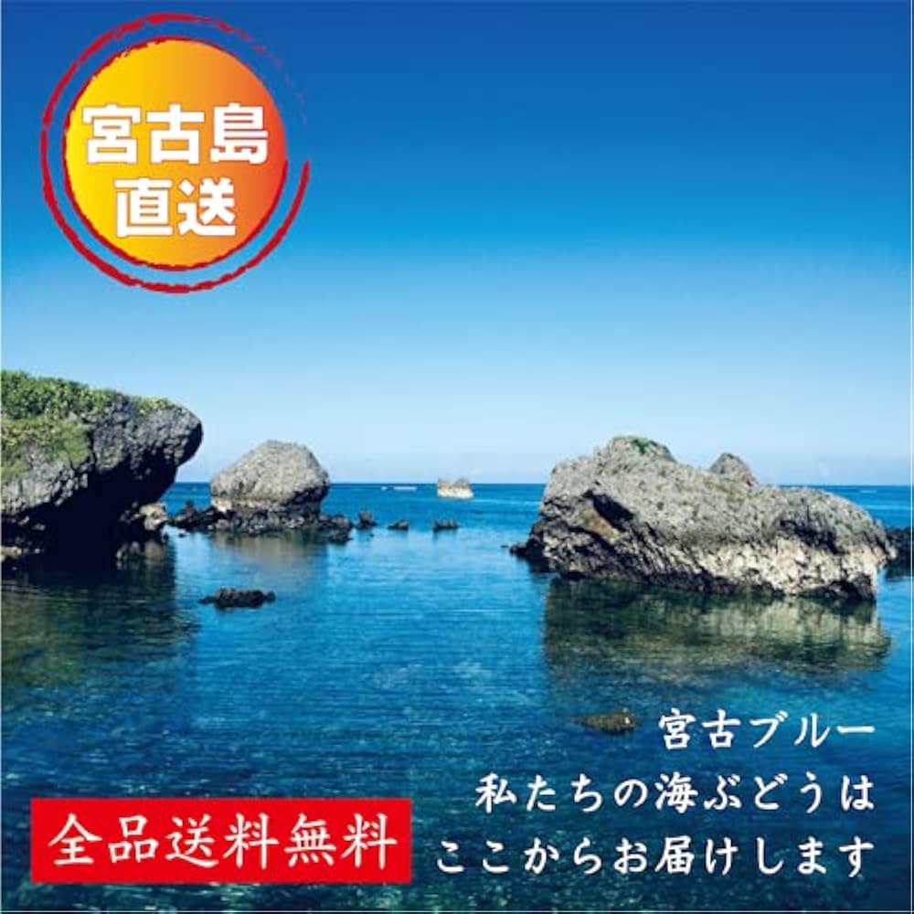 Amazon | 生 海ぶどう 【茎付き2㎏（250g×8）】茎が多いB品です